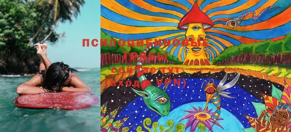 ECSTASY Костерёво