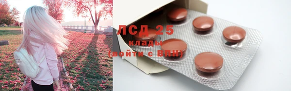 ECSTASY Костерёво