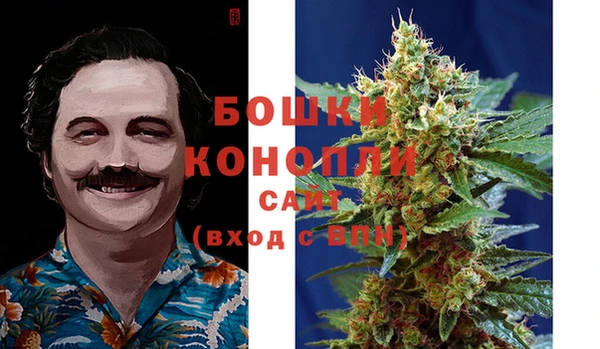 ECSTASY Костерёво