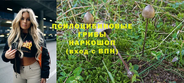 ешки Коряжма