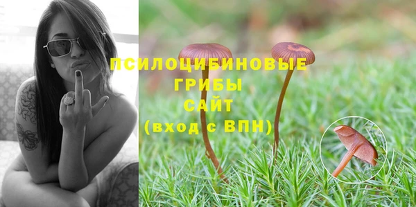 первитин Корсаков