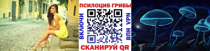 Псилоцибиновые грибы Psilocybine cubensis  наркота  Александровское 